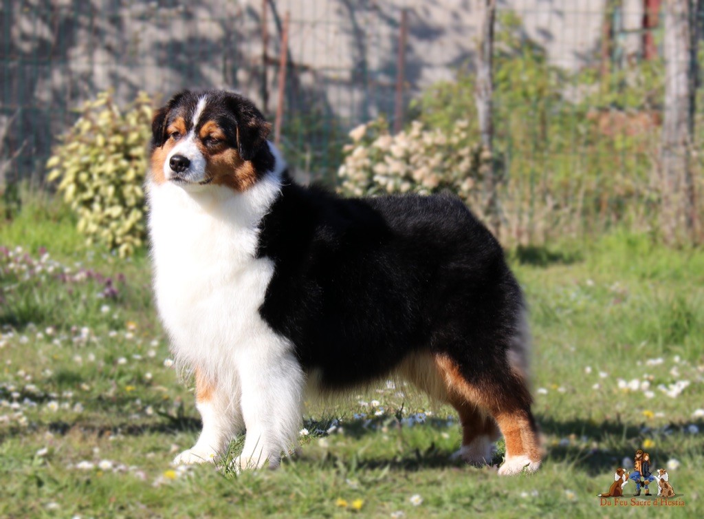 CH. Impulse! records do it now du chemin des korrigans